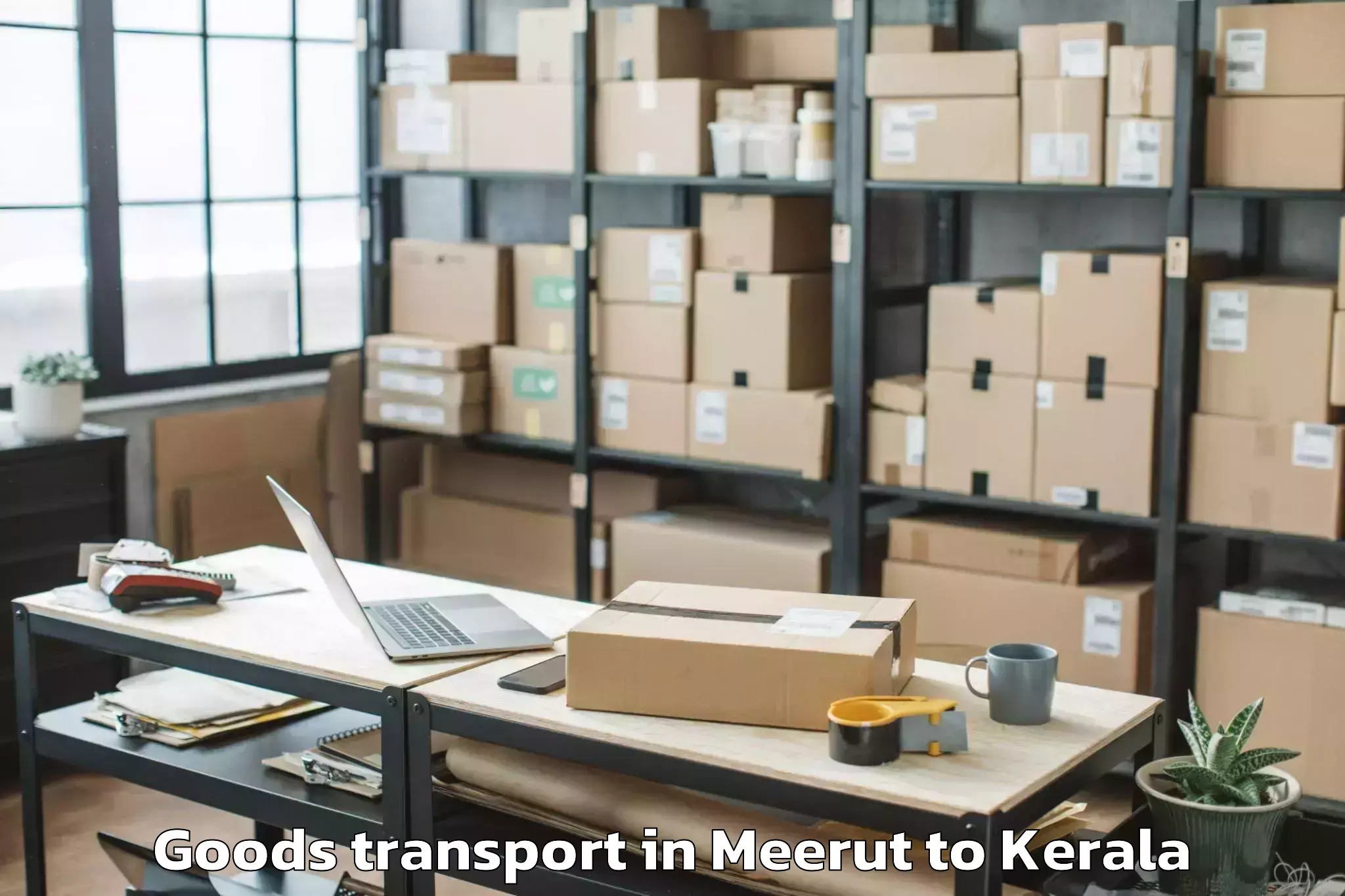 Professional Meerut to Palackattumala Goods Transport